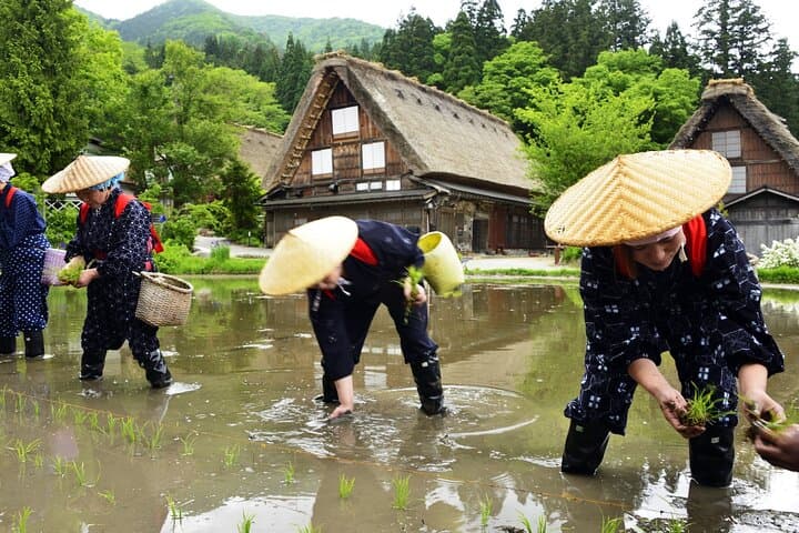 Shirakawago & Takayama Tour Kanazawa DEP: Driver Only, No Guide — photo 7