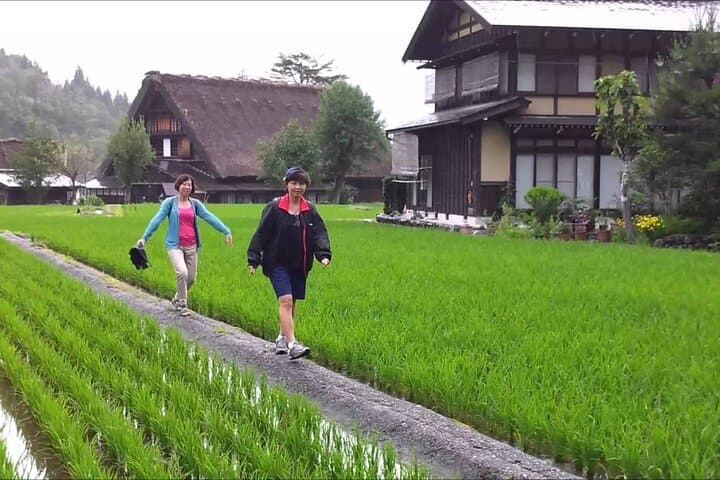 Shirakawago & Takayama Tour Kanazawa DEP: Driver Only, No Guide — photo 4
