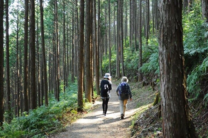Kumano Kodo Pilgrimage Tour with Licensed Guide & Vehicle — photo 20