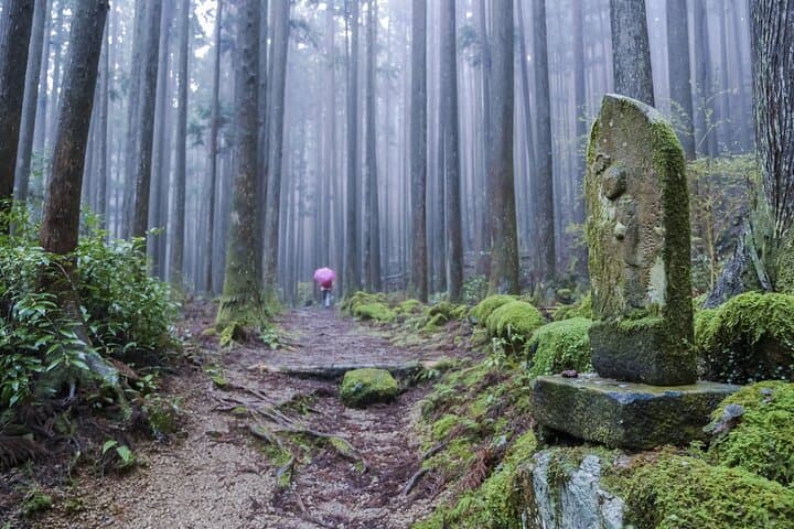 Kumano Kodo Pilgrimage Tour with Licensed Guide & Vehicle — photo 17