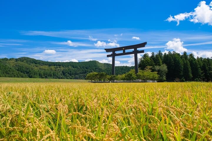 Kumano Kodo Pilgrimage Tour with Licensed Guide & Vehicle — photo 13