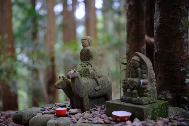 Kumano Kodo Pilgrimage Tour with Licensed Guide & Vehicle — photo 19