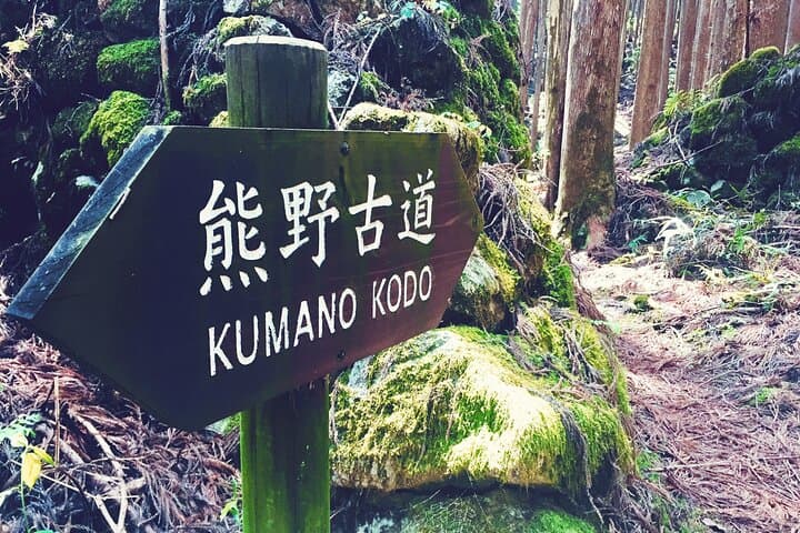 Kumano Kodo Pilgrimage Tour with Licensed Guide & Vehicle — photo 14