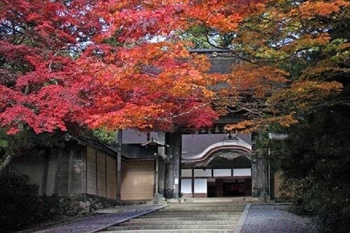Mt Koya 1 Day Walking Tour from Osaka — photo 4