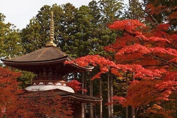 Mt Koya 1 Day Walking Tour from Osaka — photo 5
