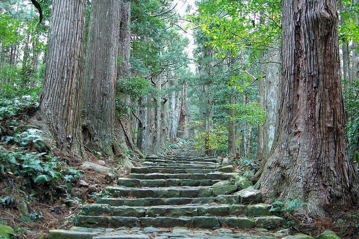 Kumano Kodo Half Day Daimonzaka and Nachi Taisha Tour — photo 3