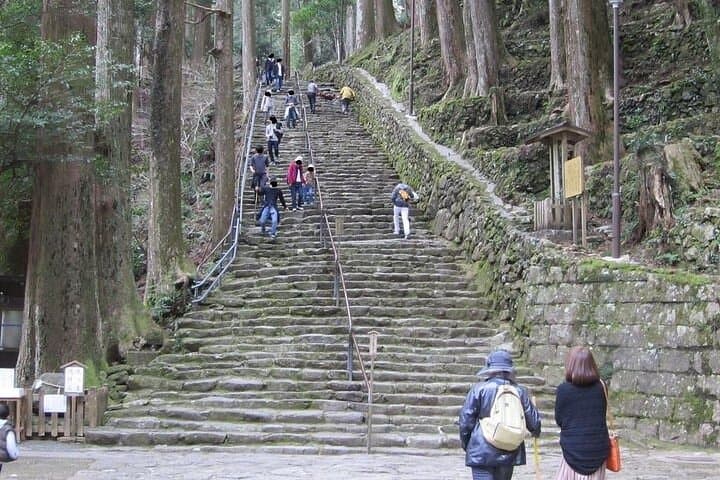 Kumano Kodo Half Day Daimonzaka and Nachi Taisha Tour — photo 5