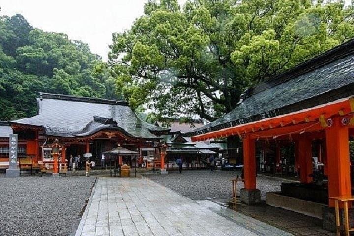 Kumanokodo 1 Day Walking Tour — photo 2