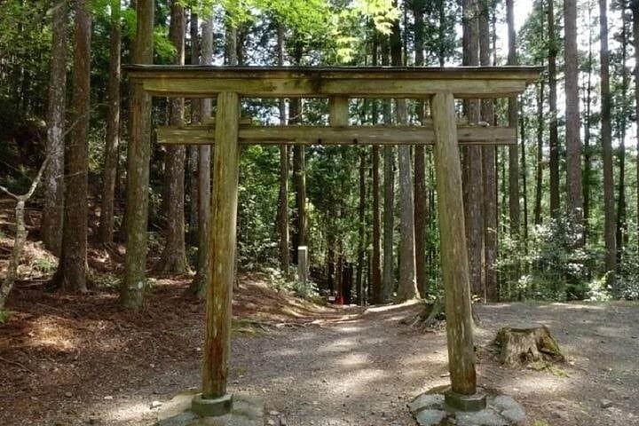 Kumanokodo 2 Day Walking Tour from Osaka — photo 3