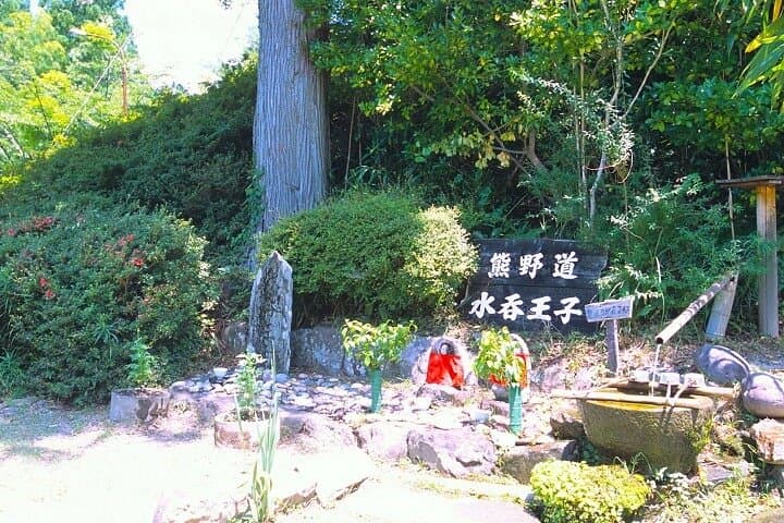 Kumanokodo 1 Day Walking Tour — photo 5