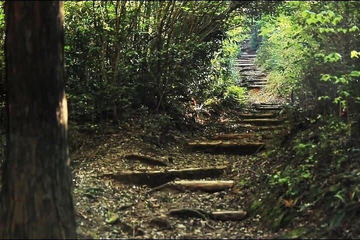 Kumanokodo 2 Day Walking Tour from Osaka — photo 4