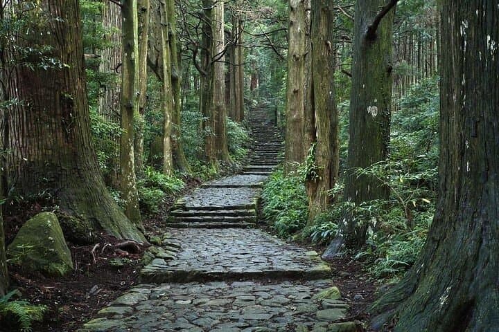 Kumanokodo 2 Day Walking Tour from Osaka — photo 5