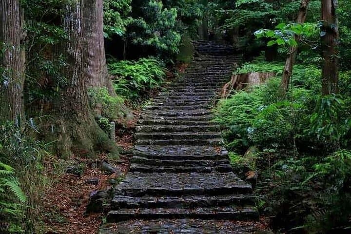 Kumanokodo 2 Day Walking Tour from Osaka — photo 6