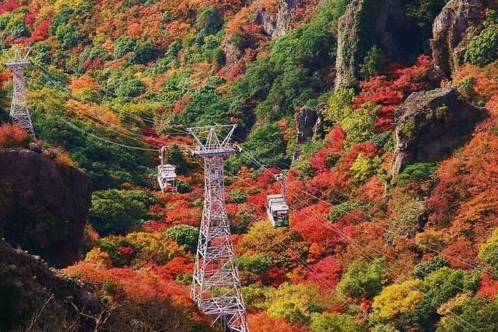 Shodoshima Island Ferry Tour from Kobe — photo 11