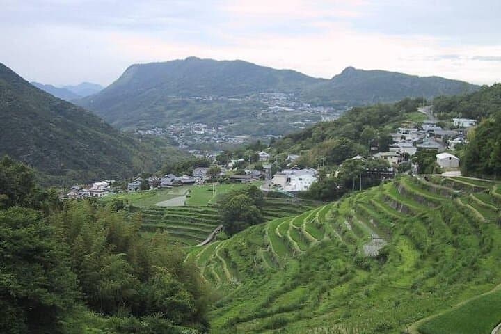 Shodoshima Island Ferry Tour from Kobe — photo 12