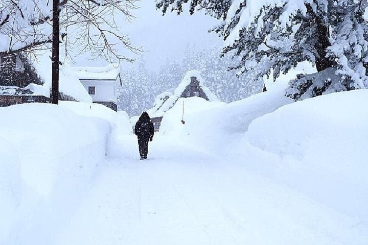 Shirakawago and Takayama 2 Days Tour from Nagoya — photo 10