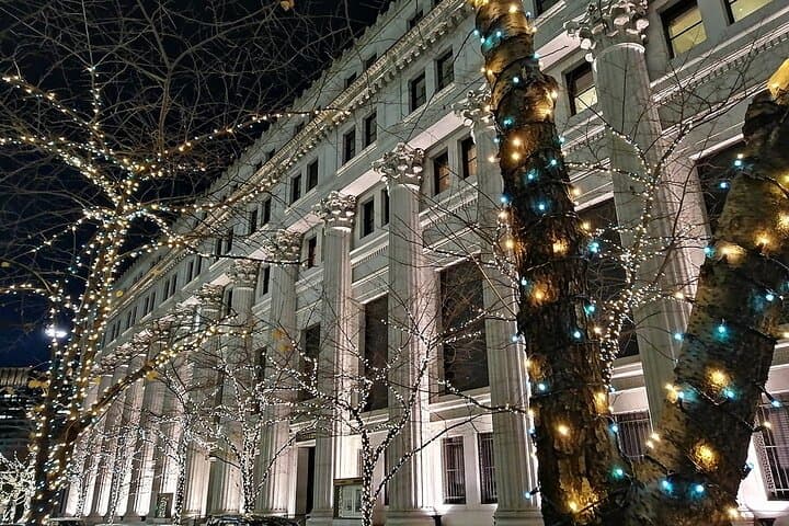 Tokyo Winter Illumination Ebike Tour — photo 7