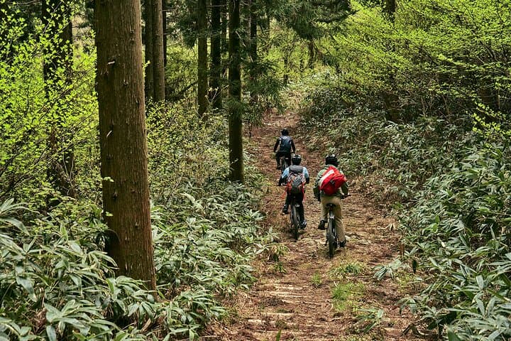 eMTB tour to see the beautiful islands from the summit — photo 2