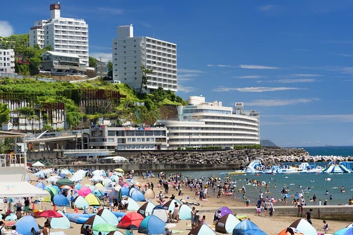 Atami Full-Day Private Tour with Government-Licensed Guide — photo 2