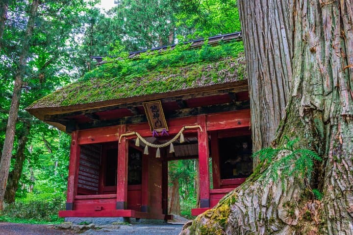 Nagano All Must-Sees 4hr Private Tour with Licensed Guide — photo 17