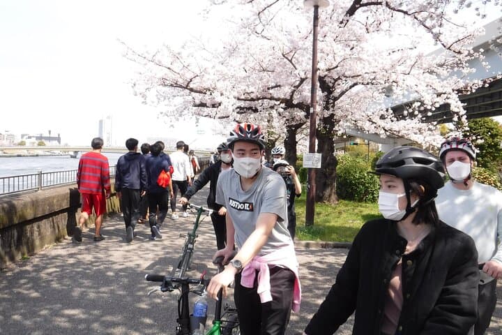 Tokyo downtown bicycle tour Tokyo Backstreets Bike Tour — photo 19