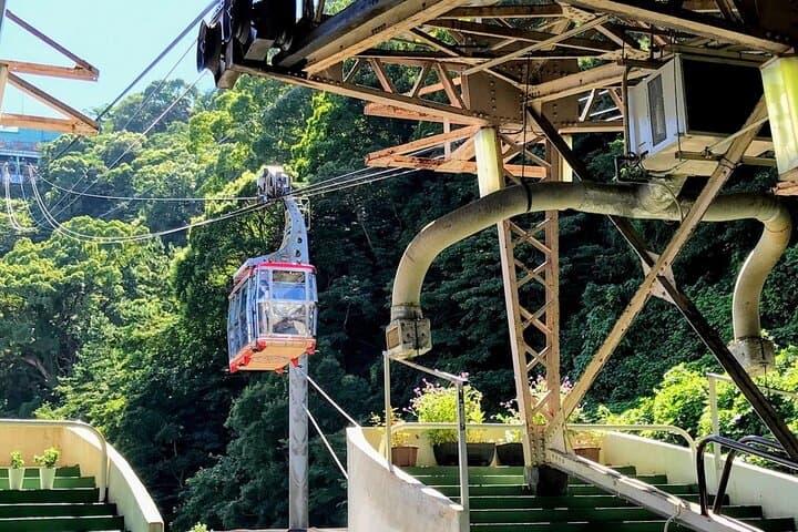 Atami Half-Day Private Tour with Government-Licensed Guide — photo 4