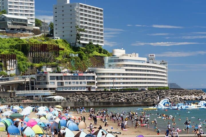 Atami Half-Day Private Tour with Government-Licensed Guide — photo 7