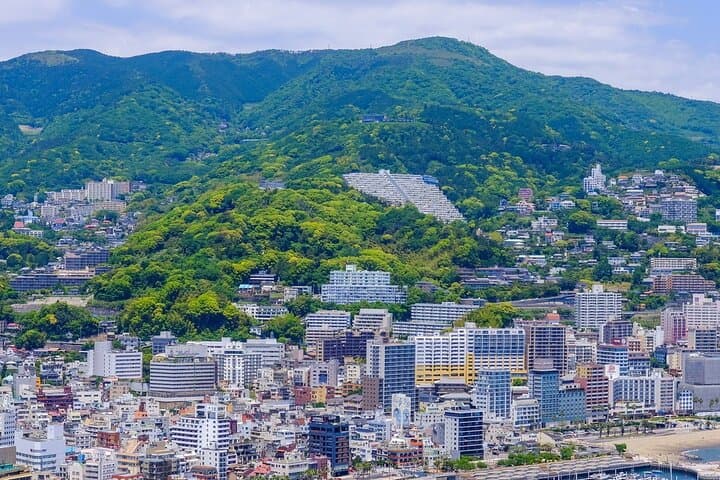 Atami Half-Day Private Tour with Government-Licensed Guide — photo 8