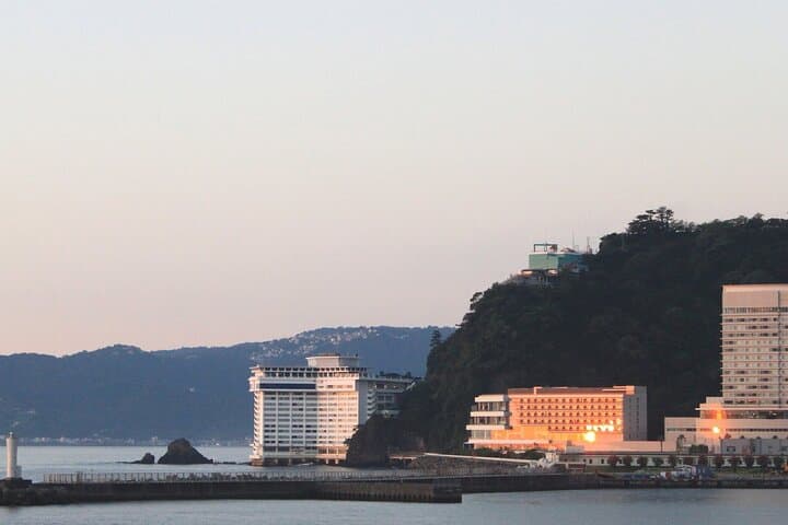 Atami Half-Day Private Tour with Government-Licensed Guide — photo 10
