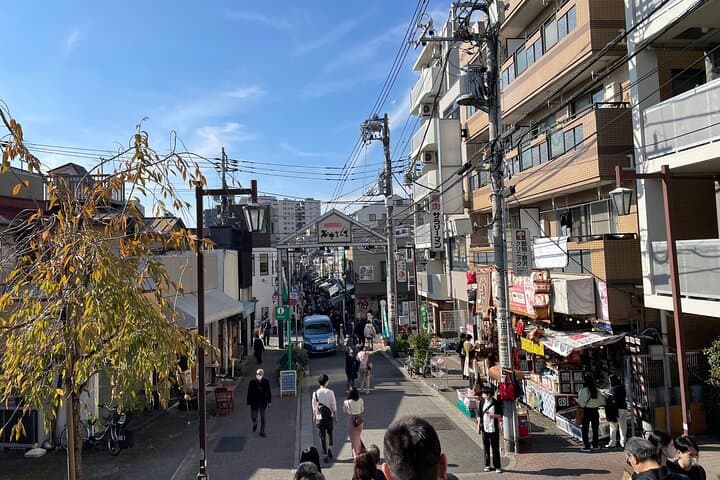 Yanaka and Asakusa Walk around DOWNTOWN TOKYO like a local — photo 9