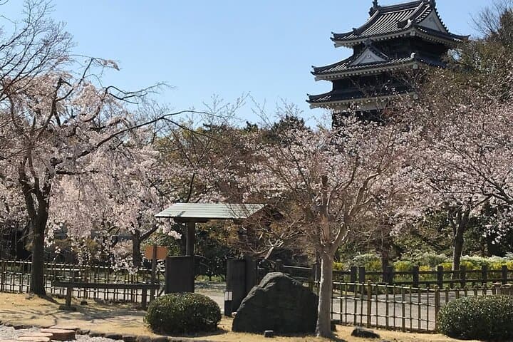 Little Kyoto Nishio :Enjoy matcha & the first classic book museum — photo 7