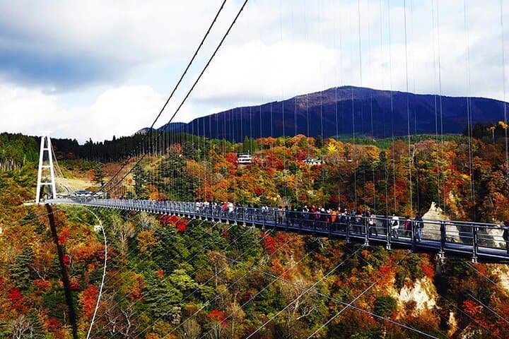 8-Day ONE WAY Bus Tour to Osaka from Fukuoka via BEPPU & SHIKOKU — photo 2