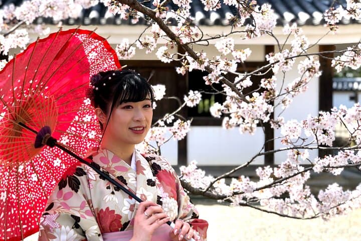 Private Kimono Elegant Experience in the Castle Town of Matsue — photo 14