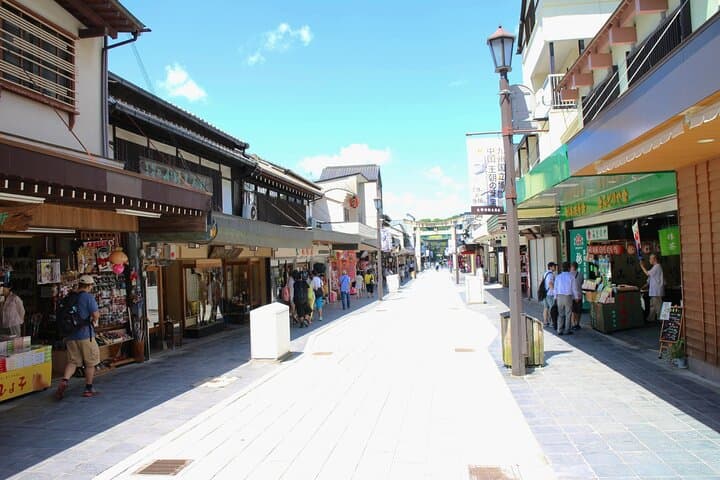 Port Pick-Up: Hakata Private Tour Licensed Guide＆ Vehicle — photo 20