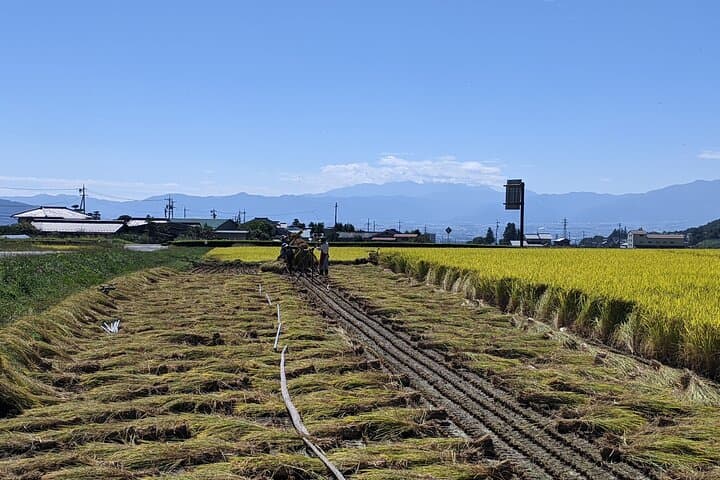 Private Electric Bike Tour & Soba Lunch — photo 5