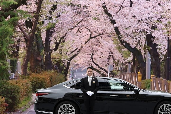 Cherry Blossom Tour in Tokyo by Private Vehicle