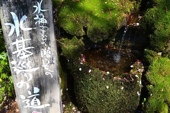 Private guided tour: Mt. Aso volcano, grasslands, Aso Shrine — photo 8