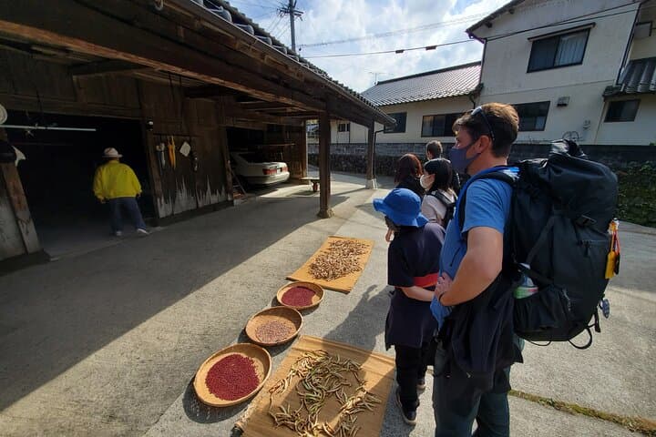Enjoy a walk, lunch, and tea time at the 2000 years old Teno Farm Village. — photo 4