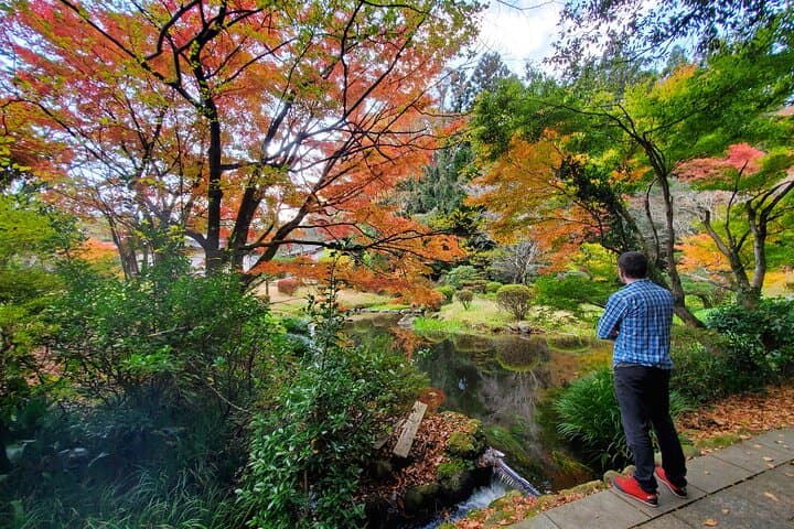 Walking through the Aso Caldera, Historical Walk along the "Bungo Kaido" — photo 4