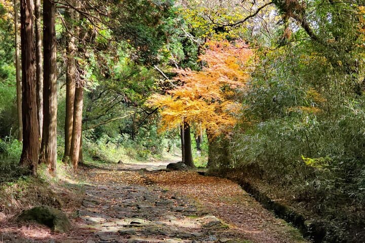 Walking through the Aso Caldera, Historical Walk along the "Bungo Kaido" — photo 6