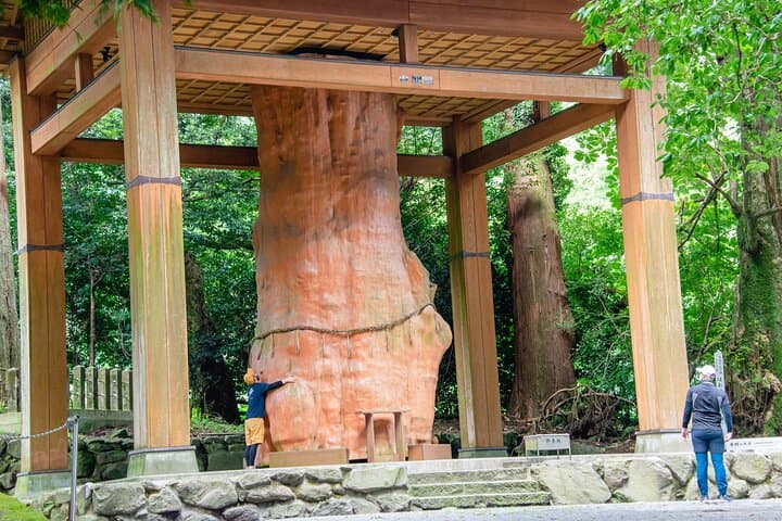 3 days in Aso to experience the nature and people's lives of the active volcano — photo 7