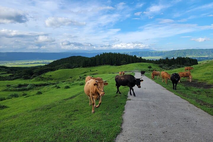 3 days in Aso to experience the nature and people's lives of the active volcano — photo 8