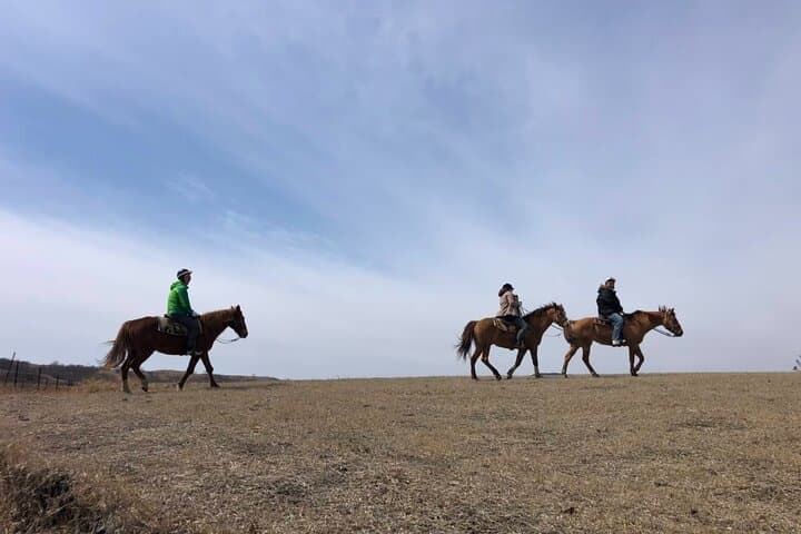 3-Days experience to feel the nature of Aso — photo 15