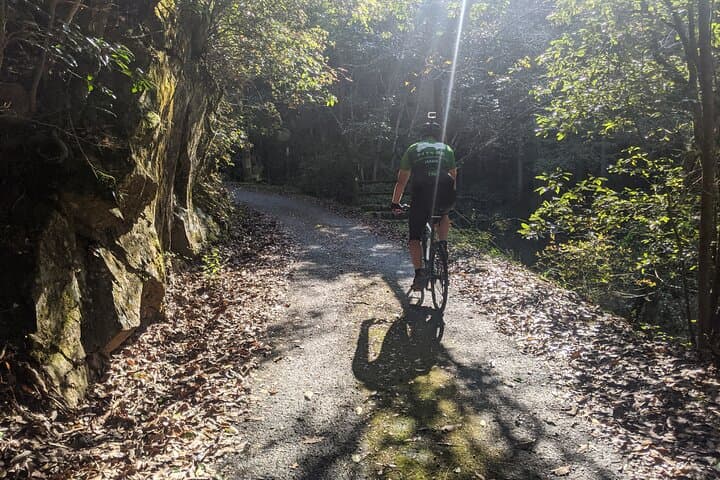 Shikoku 88 Temple Pilgrimage by E- Bike Tour — photo 3