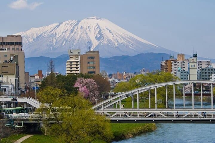 Morioka Full-Day Private Tour with Government-Licensed Guide — photo 9