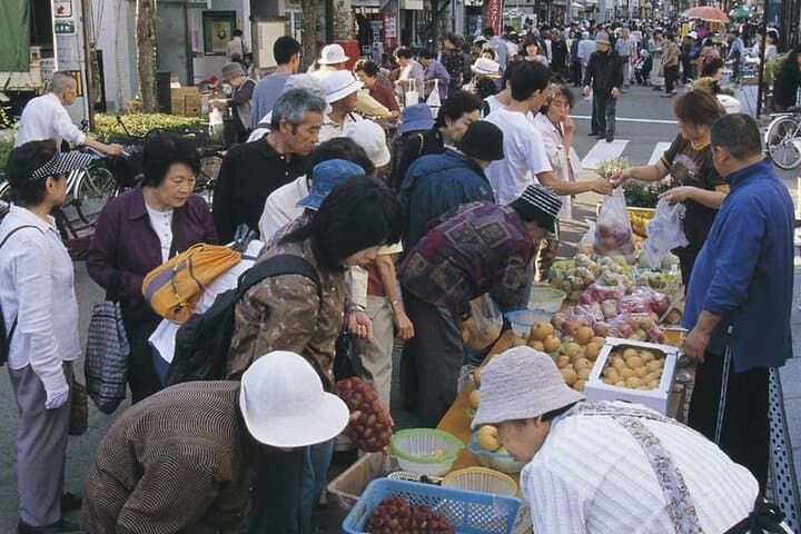 Morioka Half-Day Private Tour with Government-Licensed Guide — photo 6
