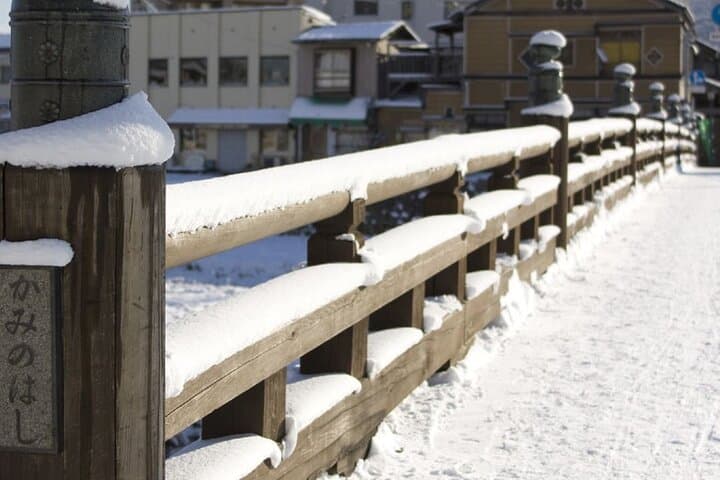 Morioka Half-Day Private Tour with Government-Licensed Guide — photo 7