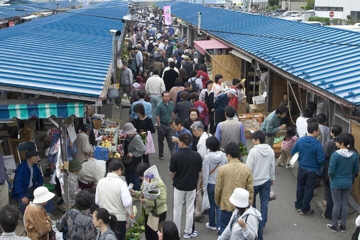 Morioka Half-Day Private Tour with Government-Licensed Guide — photo 8