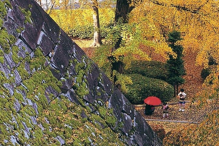 Morioka Half-Day Private Tour with Government-Licensed Guide — photo 13