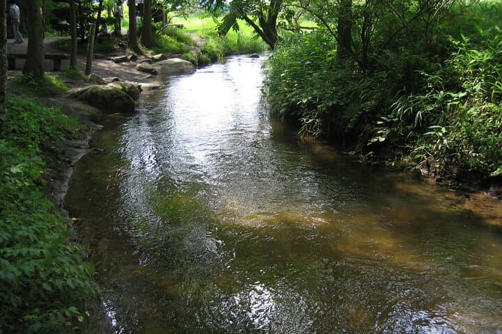 All Must-Sees Tono Private Tour with Government-Licensed Guide — photo 9